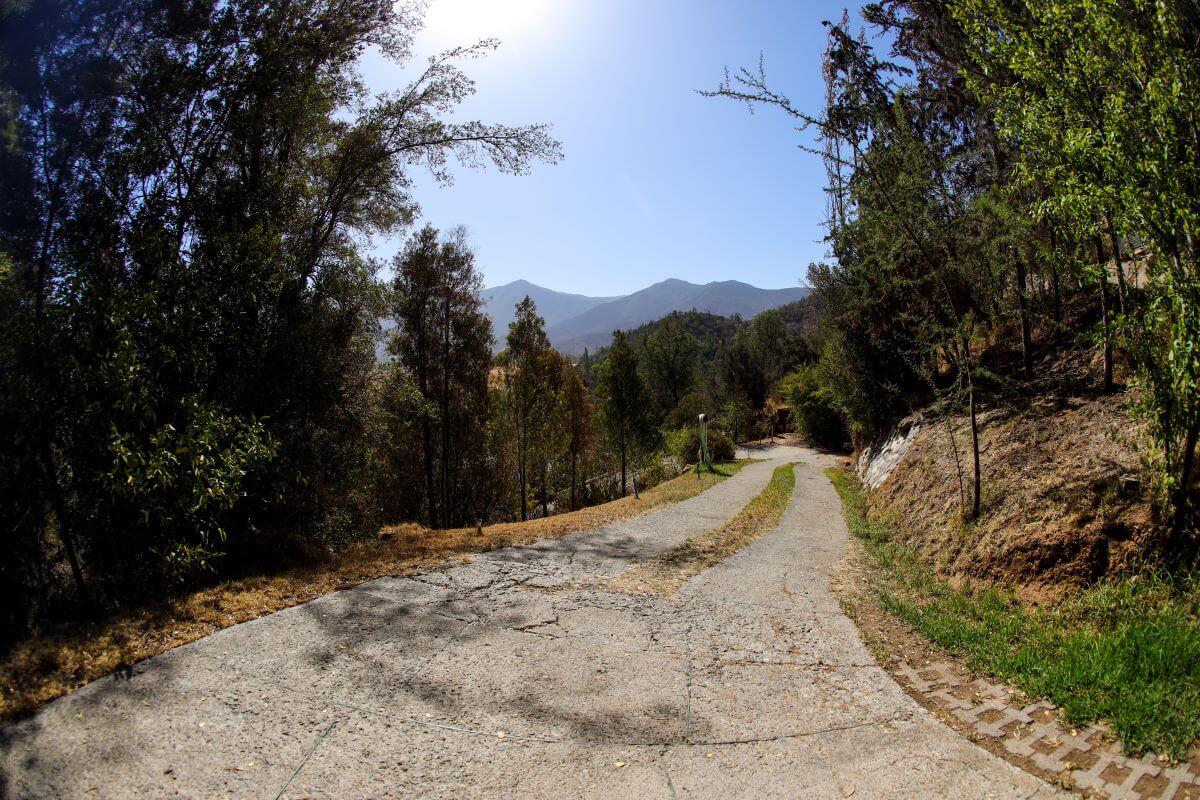 Centro de Rehabilitacion de Droga - Camino